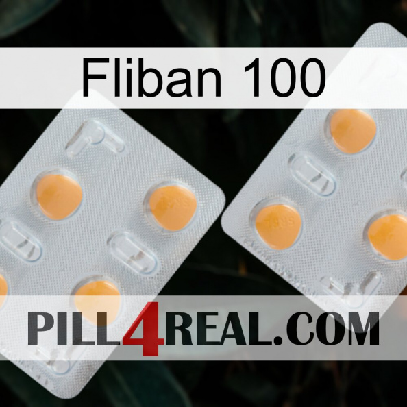 Fliban 100 25.jpg